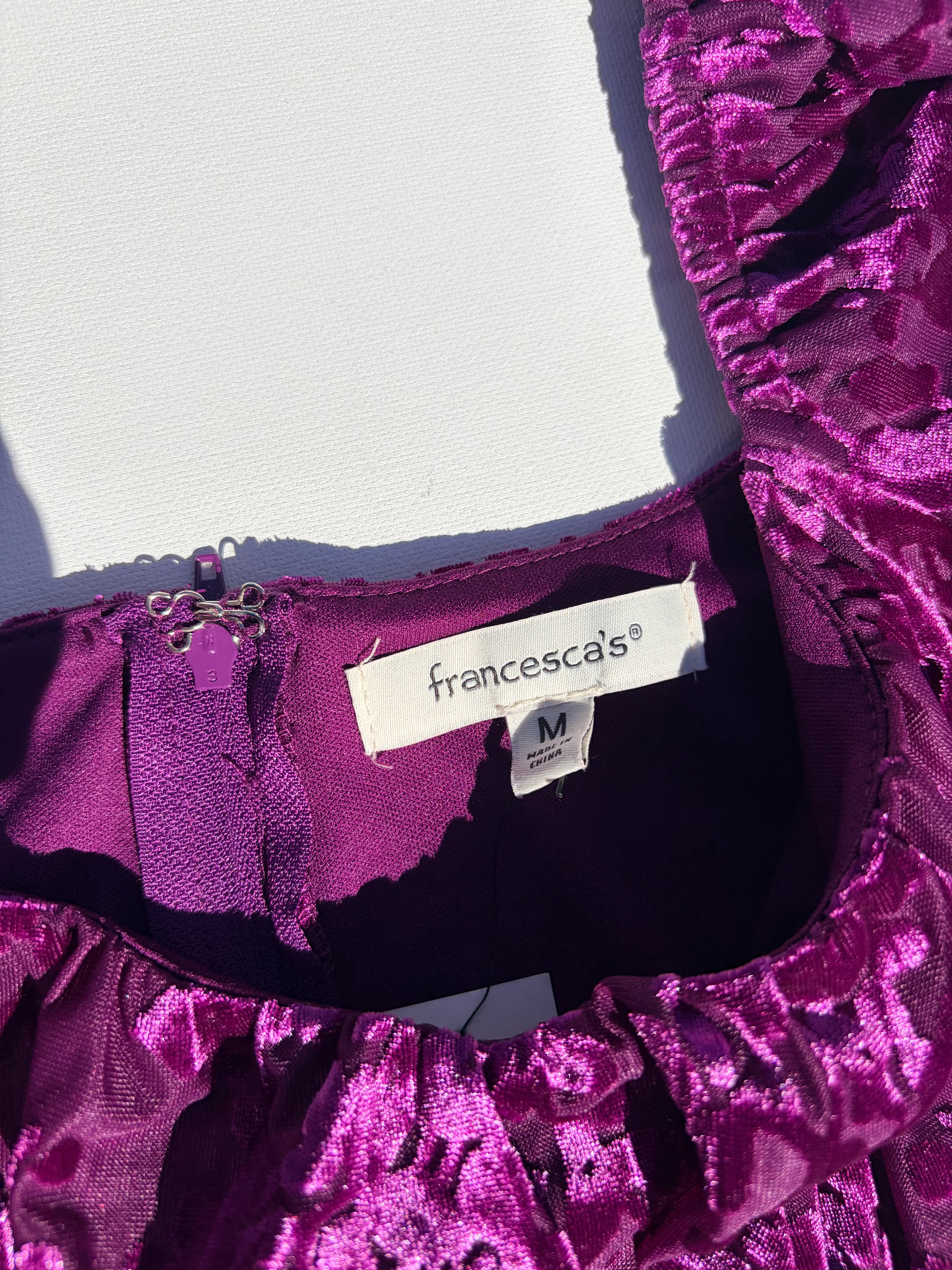 Francesca's Crush Velvet Dress