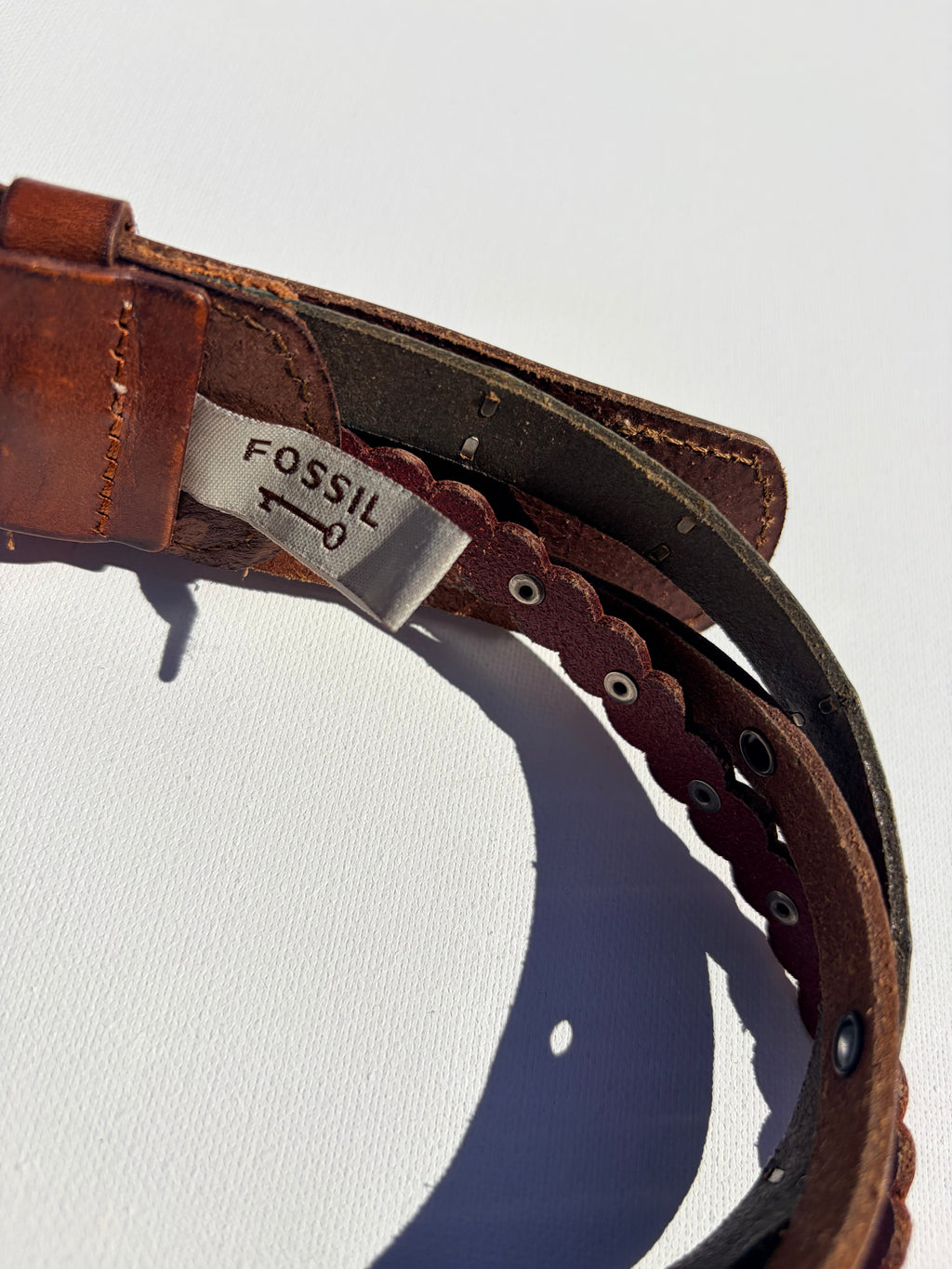 Fossil Belt