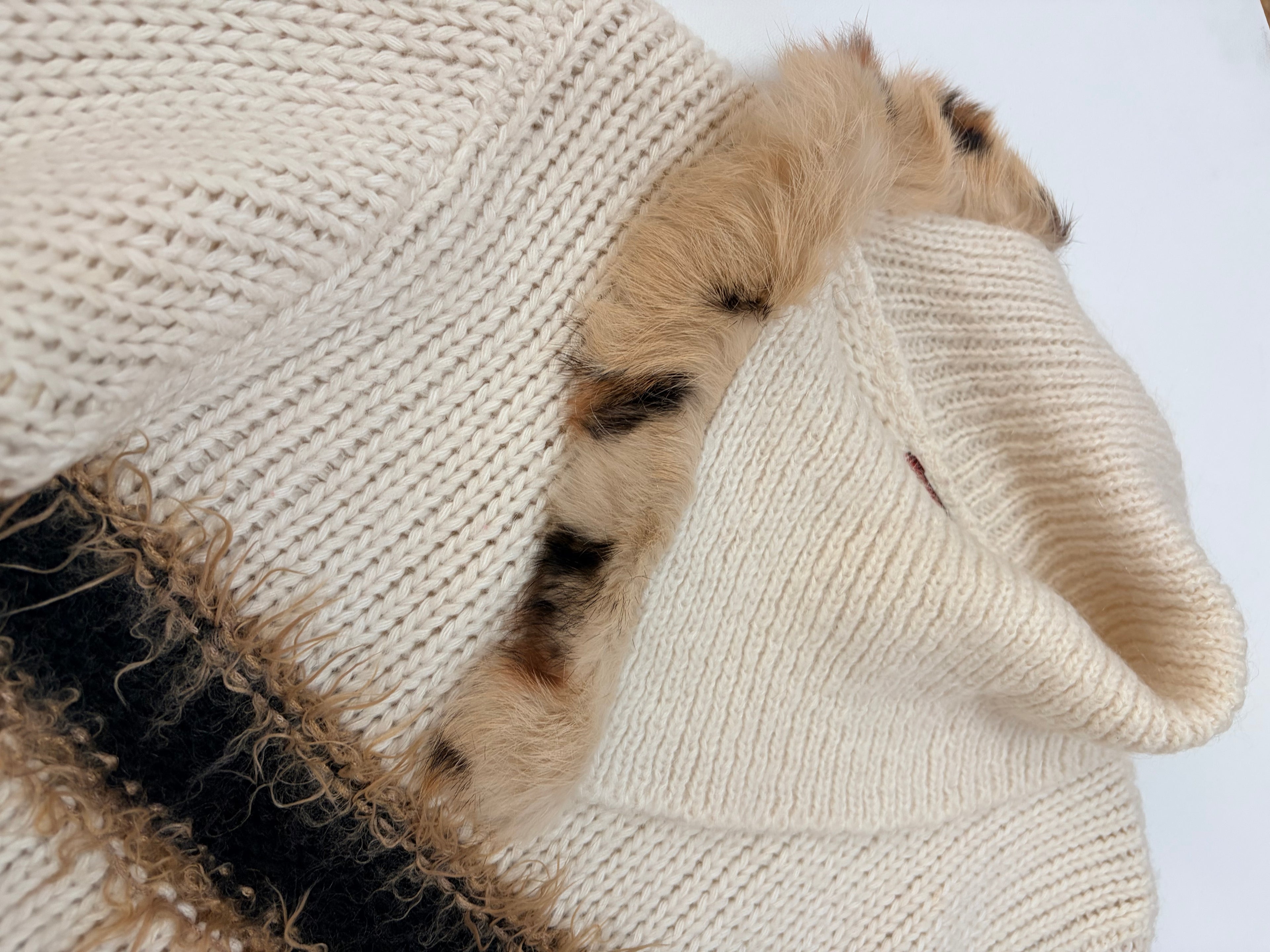 Sensitive Paris Sweater